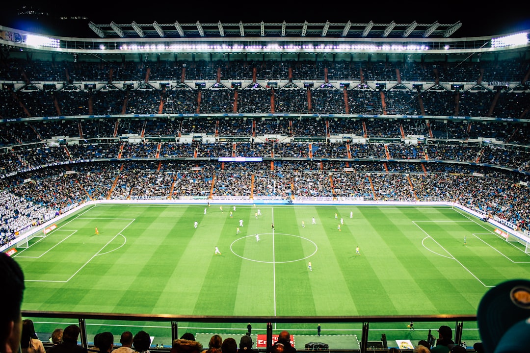 soccer stadium crowd
