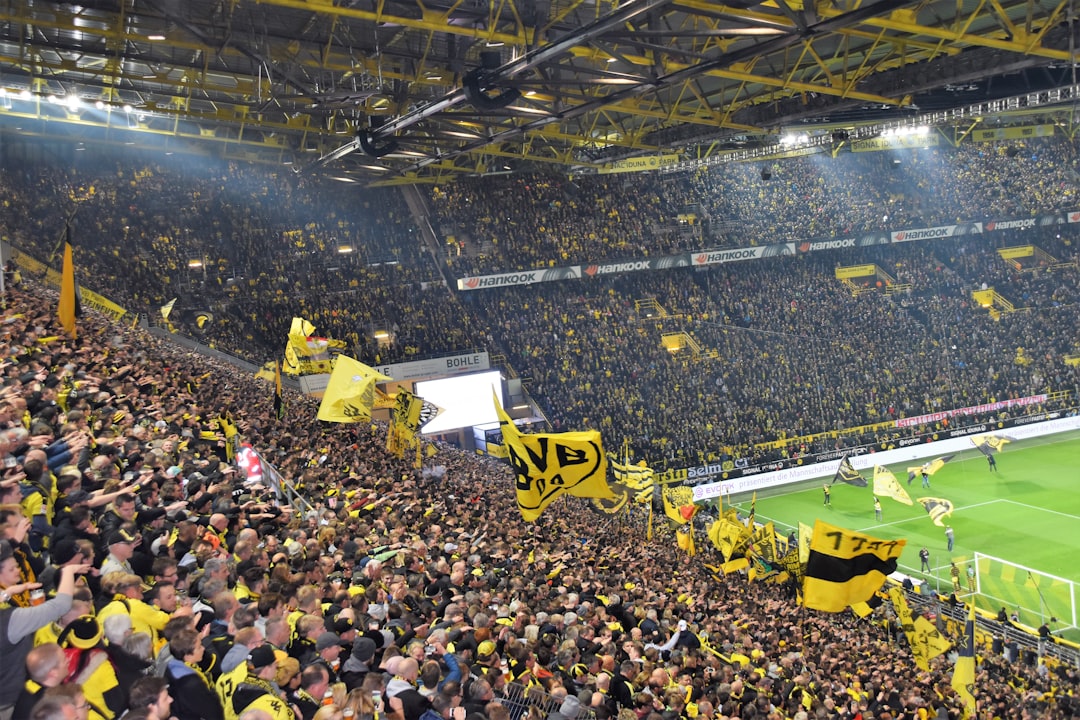 football stadium fans