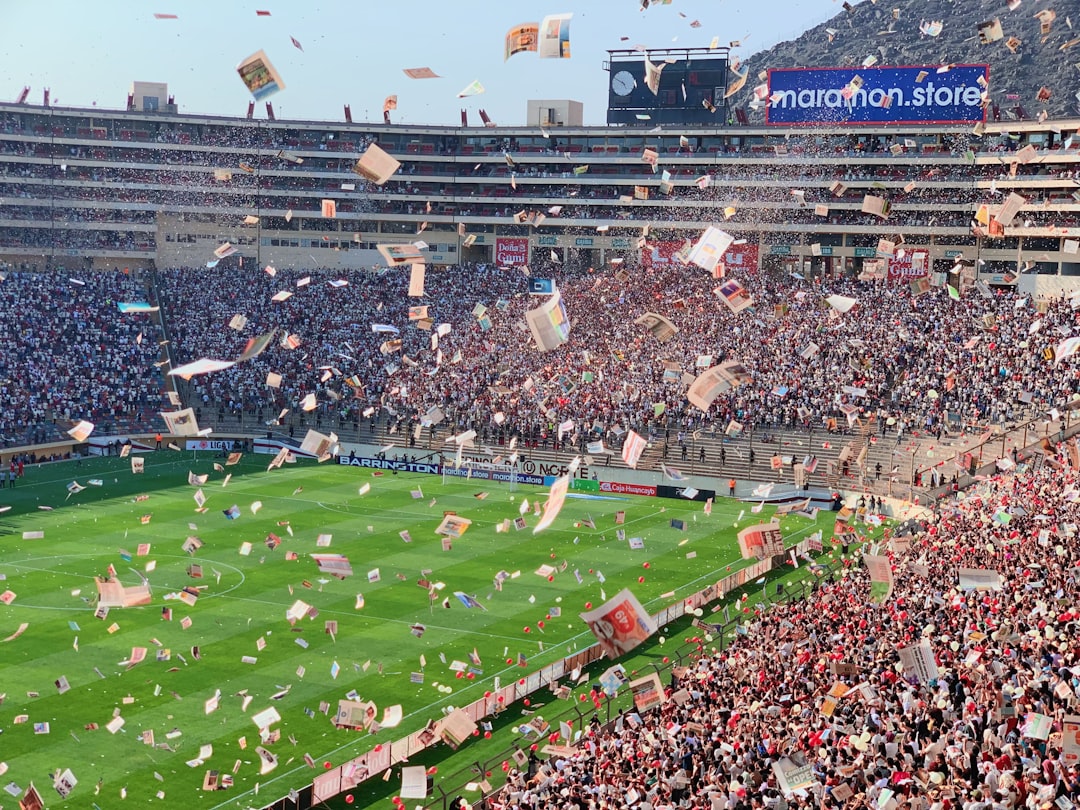 football stadium fans