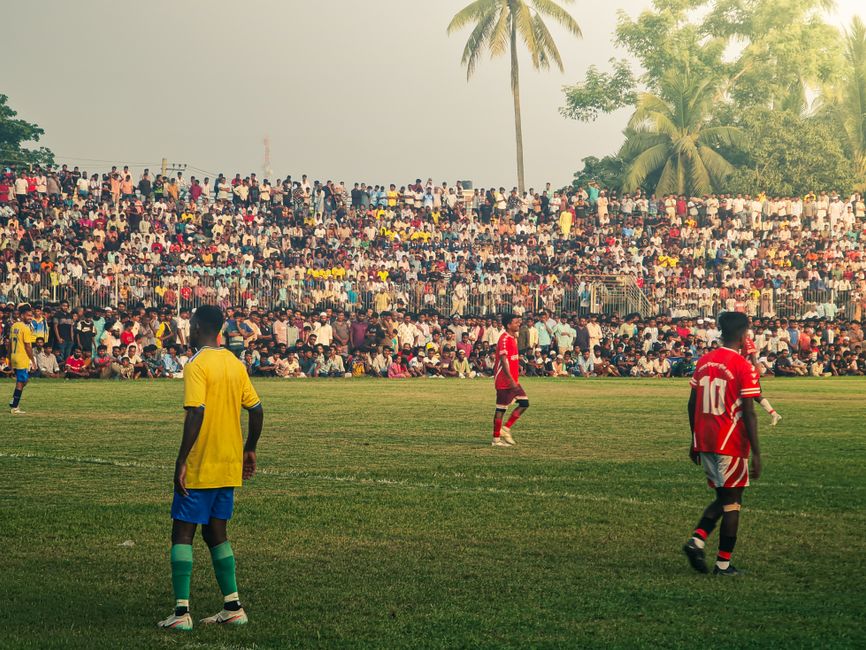 football stadium crowd