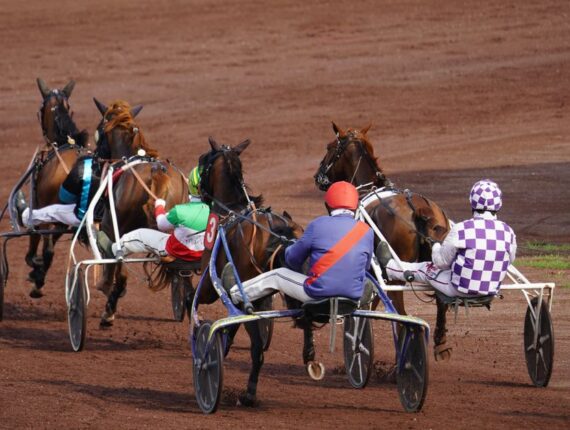 Best Betting Sites in Mozambique 2026: IGJ-Licensed Bookmakers Compared